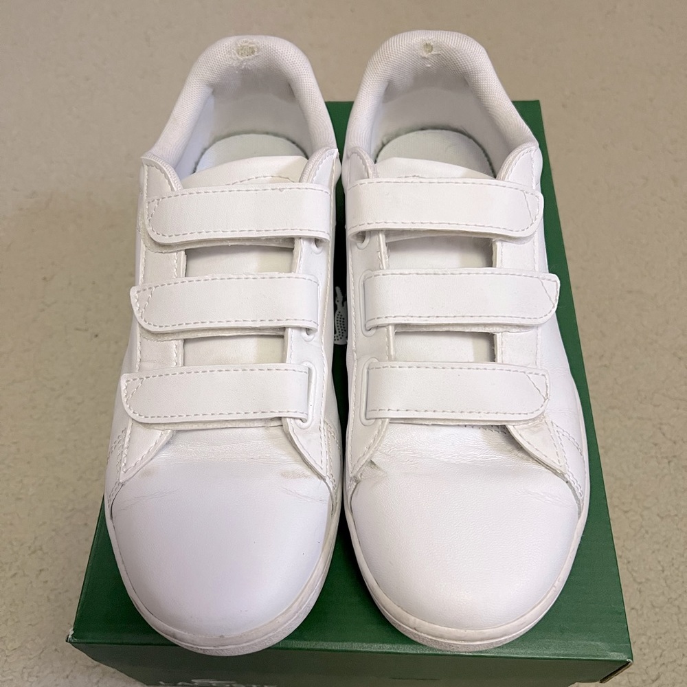 Lacoste sneakers